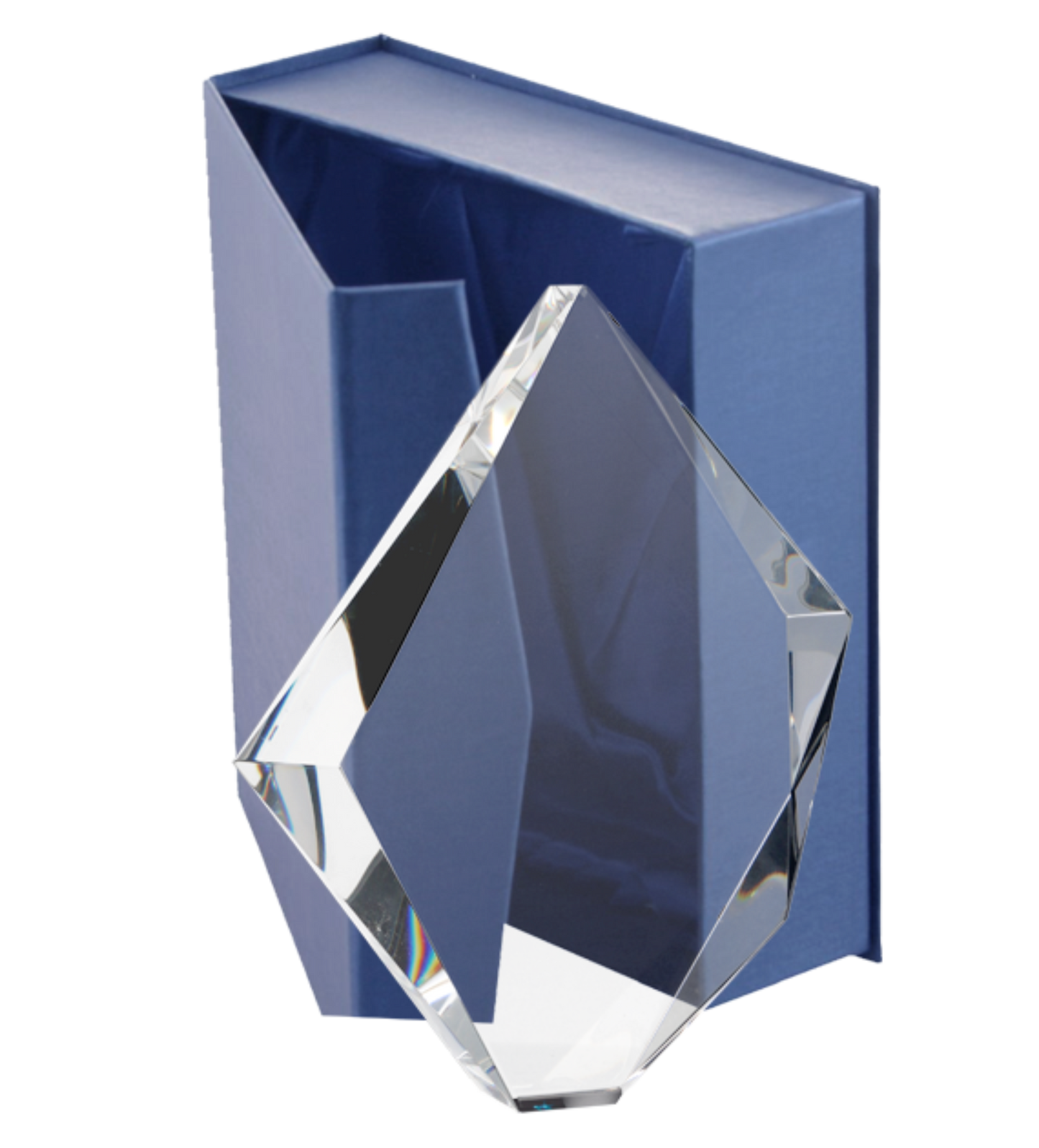 TROPHEE COULEUR C036