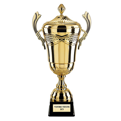 CP4315_e25f25cb-07e0-416b-8140-db53e562fe5e - LA VRAIE GRAVURE