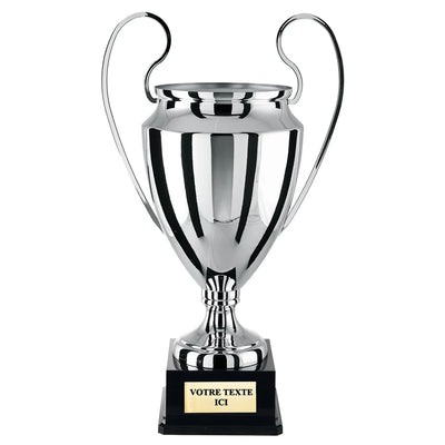 CP4319_51d769fb-2616-46dd-8bf0-db1821398369 - LA VRAIE GRAVURE