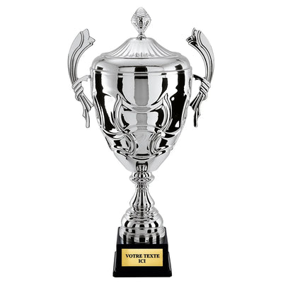 CP5292_d1b80495-32f5-4b68-b3a5-212b25e4f9e4 - LA VRAIE GRAVURE