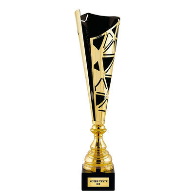 CP5310_b8693d51-bf81-4dd3-9e3f-37feeaea960c - LA VRAIE GRAVURE