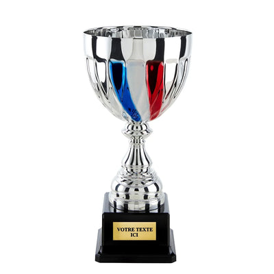 CP5324_626ca3ed-edb9-42ce-8fbe-1c825f70b30c - LA VRAIE GRAVURE