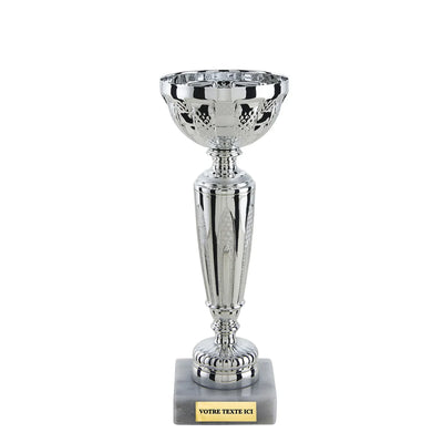 CP5392_4d719d6d-28e1-4293-96e4-83e033f79f5b - LA VRAIE GRAVURE