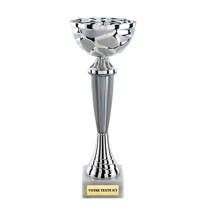 CP5395_51611950-8372-45f2-8ceb-43a405357239 - LA VRAIE GRAVURE