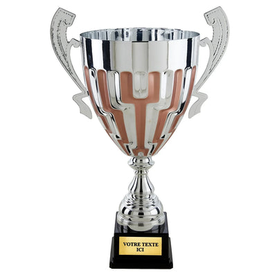 CP5413_8ea8c9ae-278b-404e-b32e-c1b2ccfe0026 - LA VRAIE GRAVURE