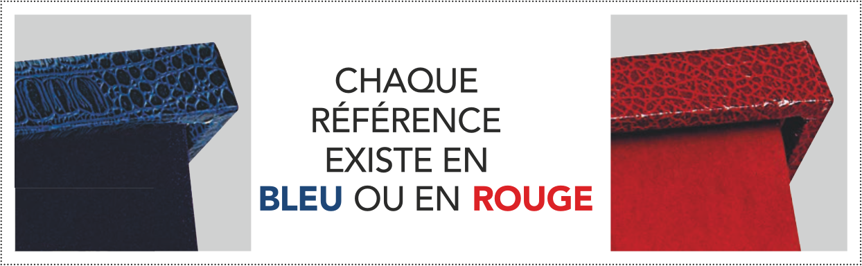 TROPHÉE RÉF.ER4700