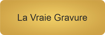 GOLDEN TOUCH 50x23 mm OR