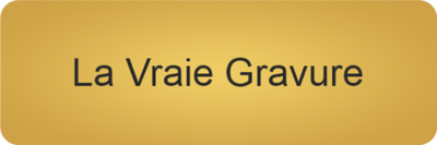 GOLDEN TOUCH 48x16 mm OR