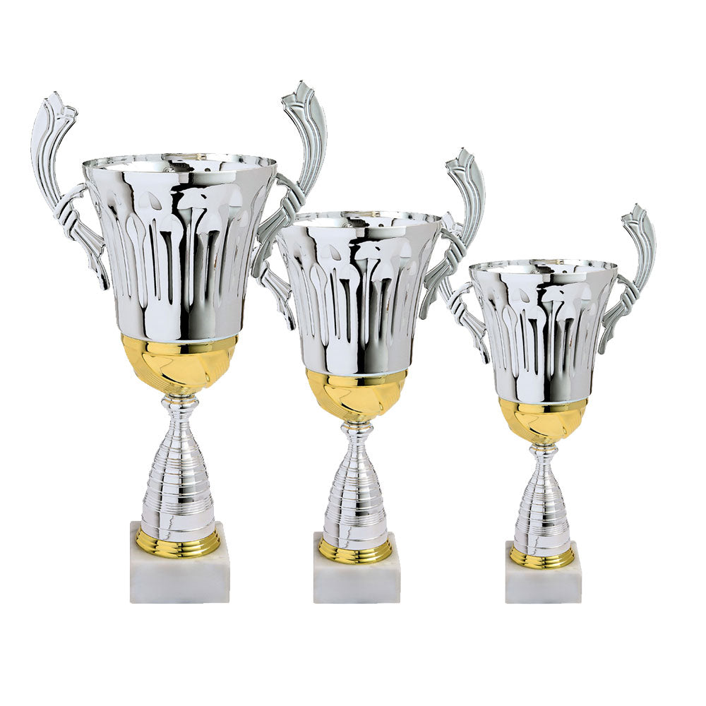 LOT DE COUPES LT325