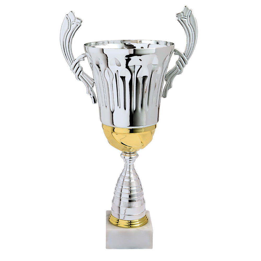 LOT DE COUPES LT325