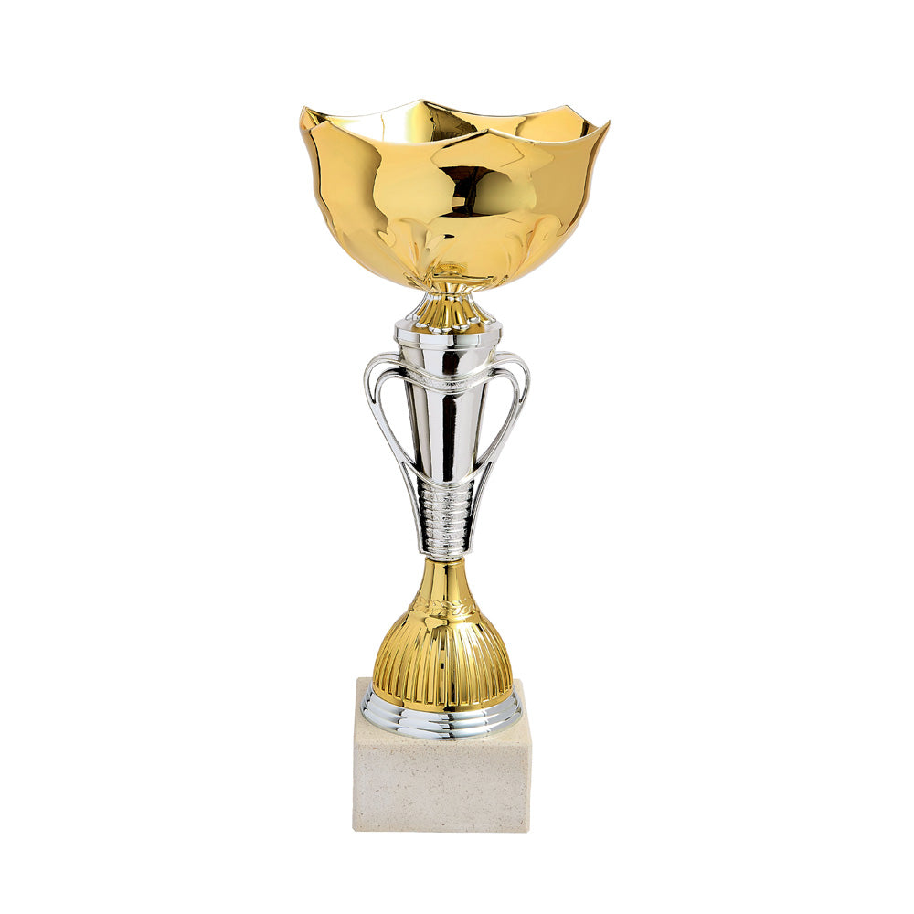 LOT DE COUPES LT625