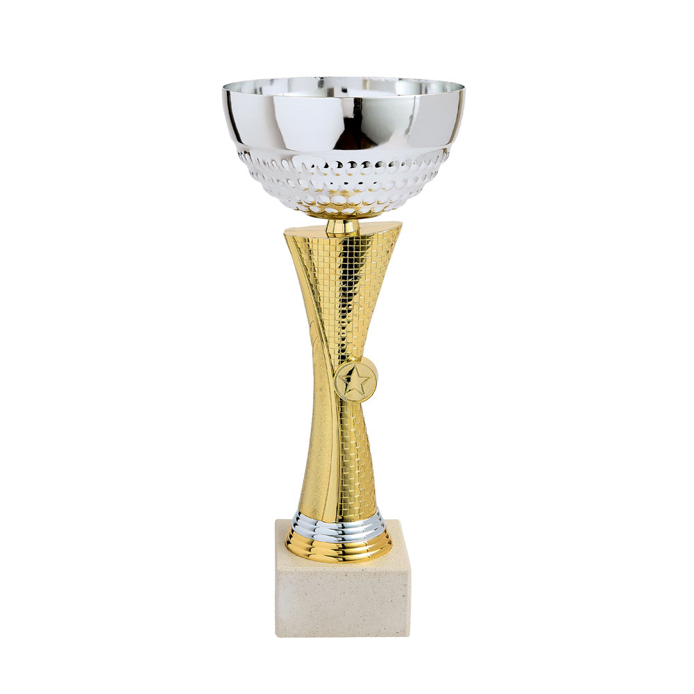 LOT DE COUPES LT625