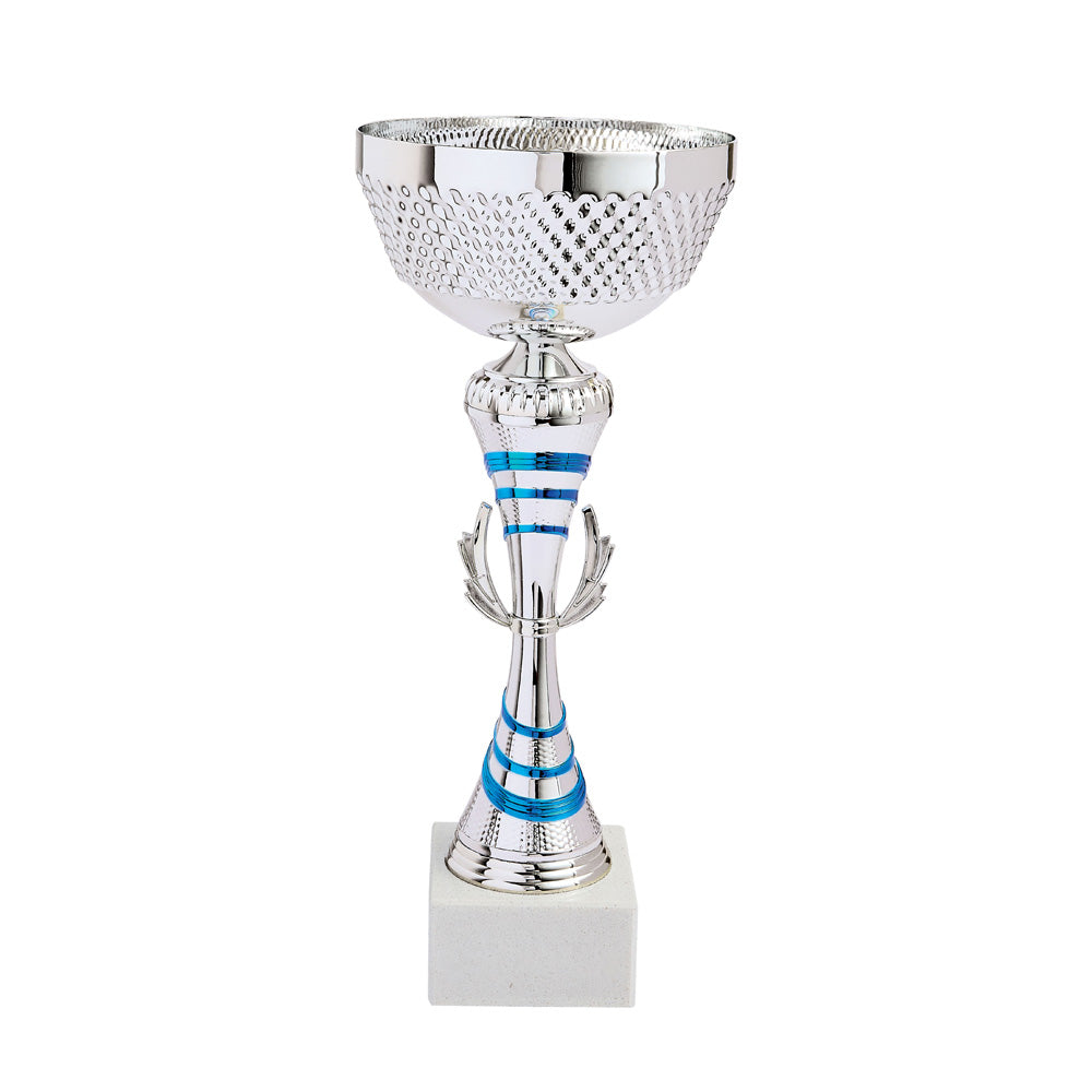 LOT DE COUPES LT625