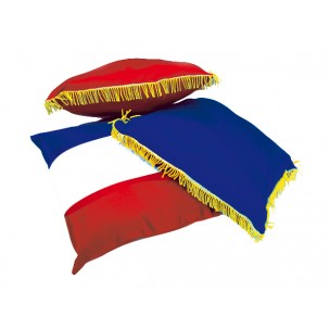 COUSSIN INAUGURATION