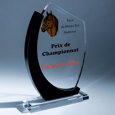 TROPHÉE RÉF PL031B