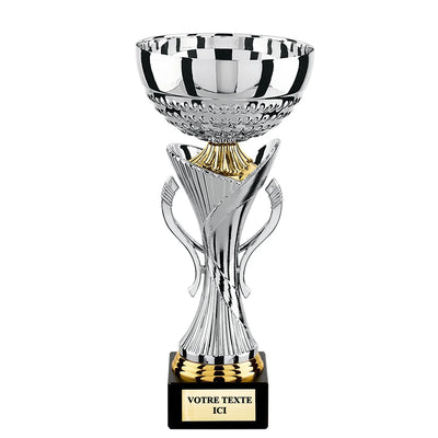 CP4242_f69d6d8a-b344-45ee-9c70-2218f447ca82 - LA VRAIE GRAVURE