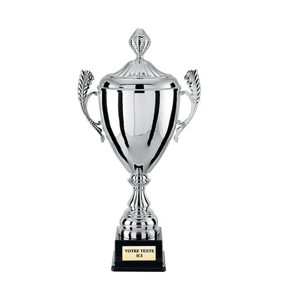 CP4289V_8590972e-5beb-4f5c-b8b0-5fc9b99f6891 - LA VRAIE GRAVURE