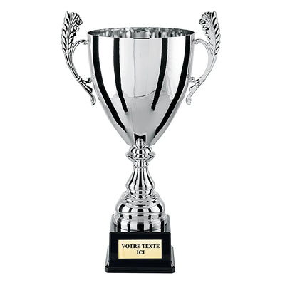 CP4289_1e7803b2-cc49-425a-95de-6aa48e08f068 - LA VRAIE GRAVURE