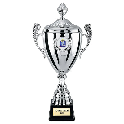 CP4291V_93f60ddf-43c9-4fe3-9773-e9df43d76a12 - LA VRAIE GRAVURE