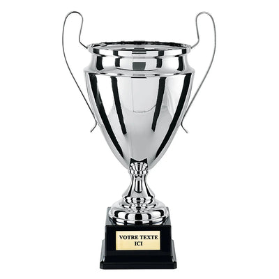 CP4306_1f64b890-d2e8-4e6f-93bc-223598d41293 - LA VRAIE GRAVURE