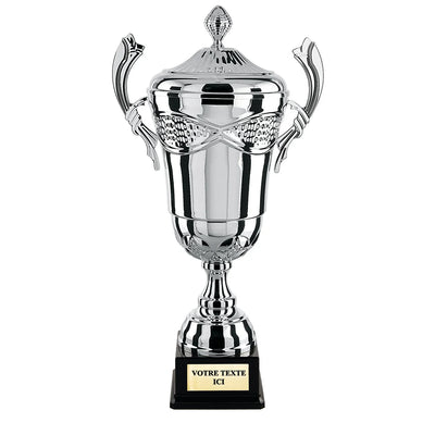 CP4314_6825531b-26c2-45c6-ac62-c67df83bbcb5 - LA VRAIE GRAVURE