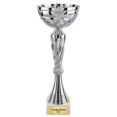 CP5223_7b70f723-d149-43e5-8842-8eaa42dd4590 - LA VRAIE GRAVURE