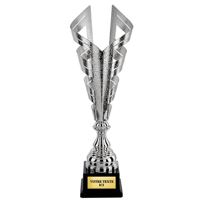 CP5281_06a79cb1-ca2a-4245-94a5-8cfa9e806d0c - LA VRAIE GRAVURE