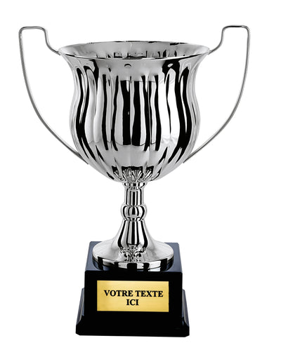 CP5289 - LA VRAIE GRAVURE