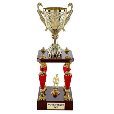 CP5307_a176965b-1079-4181-8266-213fb34a0bcb - LA VRAIE GRAVURE