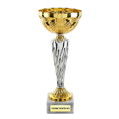 CP5394_472d0143-71d6-4ee2-9bac-12ef26b693a0 - LA VRAIE GRAVURE