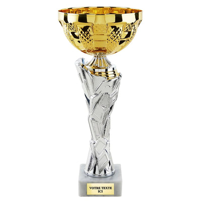 CP5419_e2d8dcc9-bcc1-48a4-9192-6f1733023629 - LA VRAIE GRAVURE