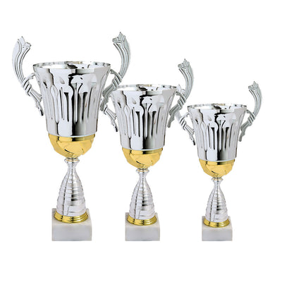 LOT DE COUPES LT325
