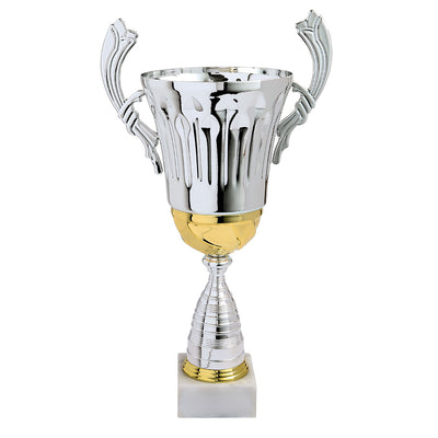 LOT DE COUPES LT325