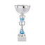 LOT DE COUPES LT625