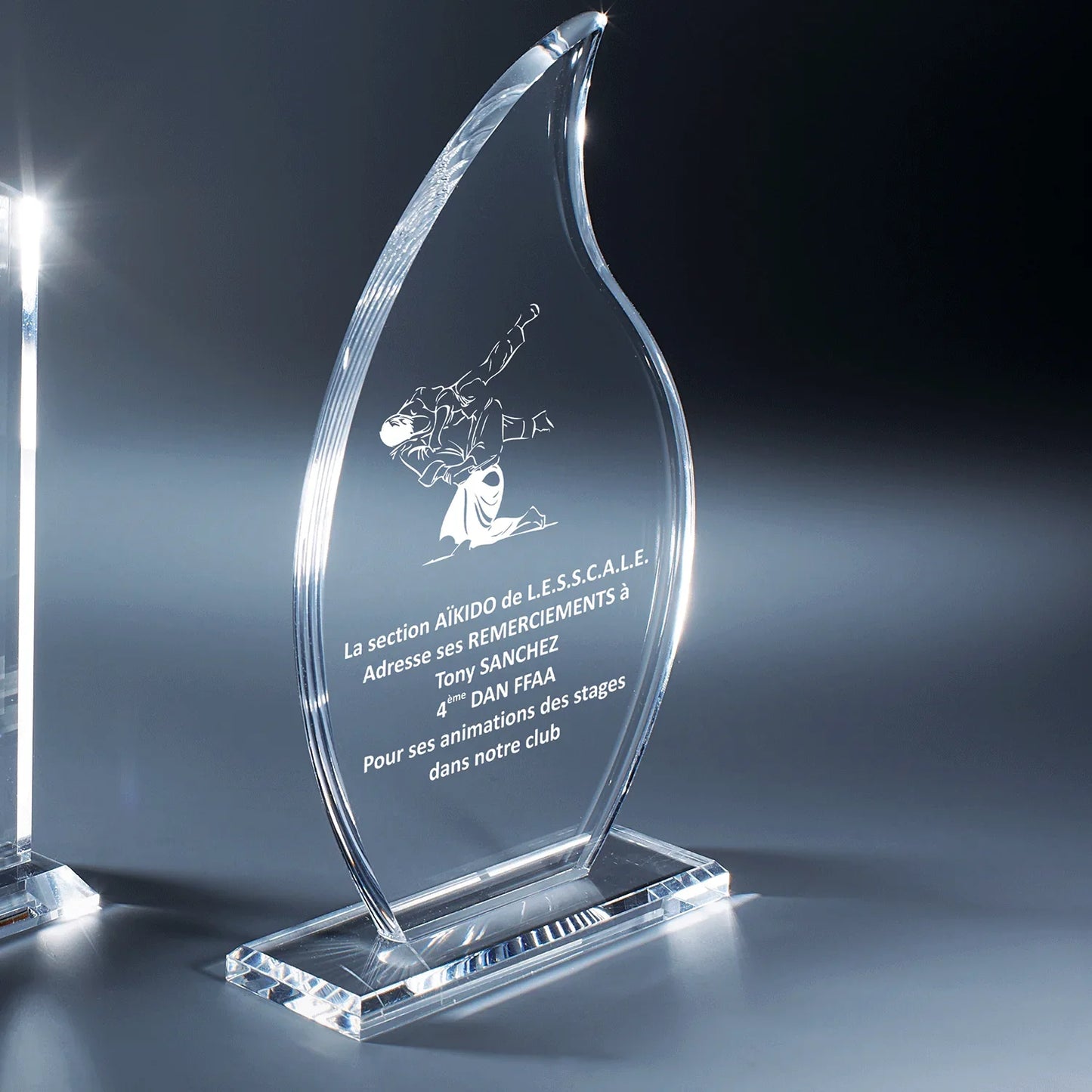 PL056 - LA VRAIE GRAVURE