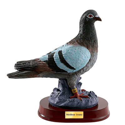 TROPHEE REF RS0910B